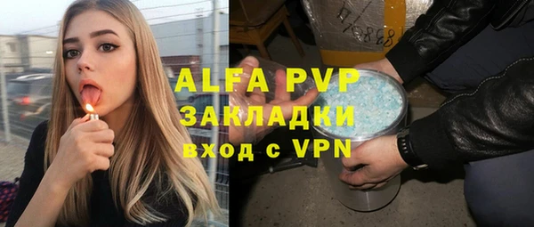 сатива Богданович