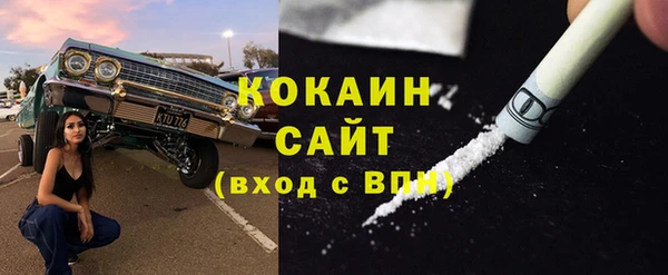 сатива Богородск