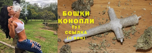 сатива Богородск