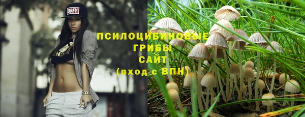 сатива Богданович