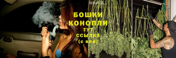 сатива Богданович