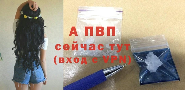 сатива Богородск