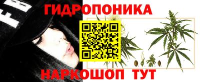 мдпв Дубна
