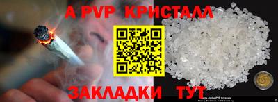 стаф Донской