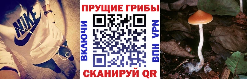 что такое наркотик  Надым  Псилоцибиновые грибы MAGIC MUSHROOMS 