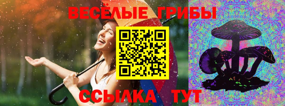 Галлюциногенные грибы мицелий  Вход с VPN  Надым 